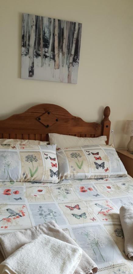 Comfy Quiet Town House Villa Strabane Eksteriør bilde